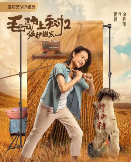 我在未来等你 电视剧